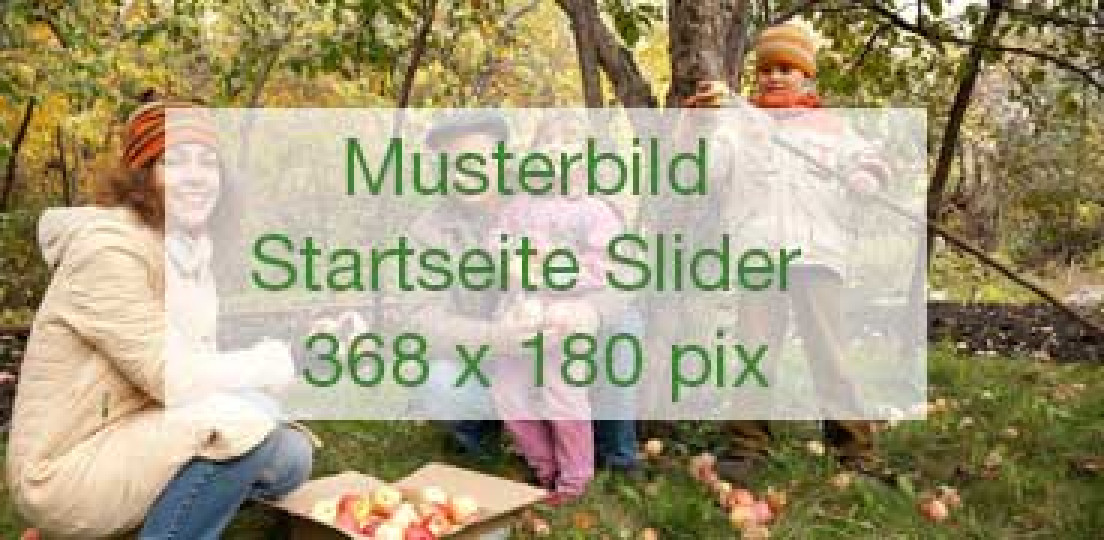 Aktuelles-Artikel (6)