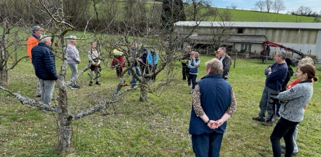 Praxiskurs Pfirsichbäume schneiden